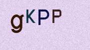 Visual Confirmation Security Code