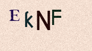 Visual Confirmation Security Code