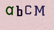 Visual Confirmation Security Code