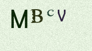 Visual Confirmation Security Code